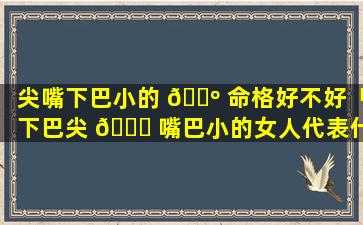 尖嘴下巴小的 🌺 命格好不好「下巴尖 🐈 嘴巴小的女人代表什么」